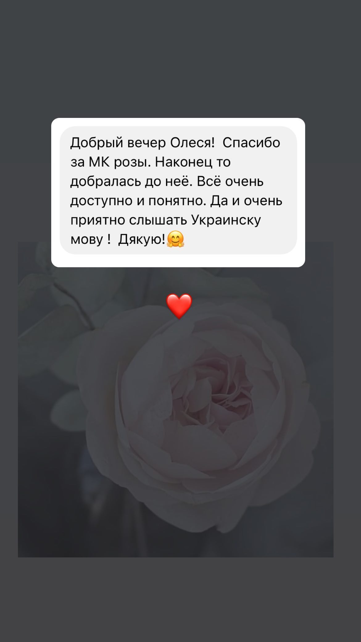 Instagram highlights stories 17921987944182865 (16)