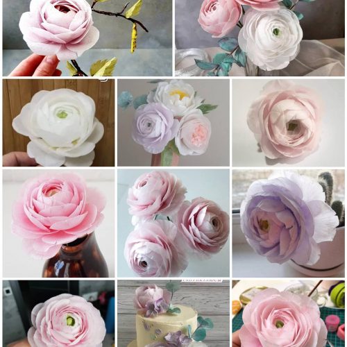 ranunculus_online_1707378313120