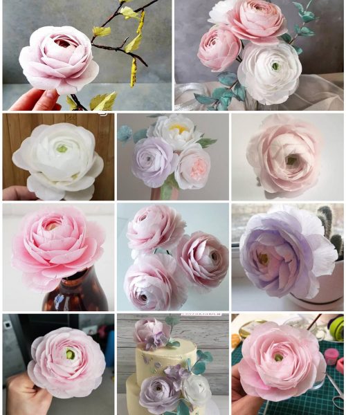 ranunculus_online_1707378313120