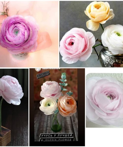 ranunculus_online_1707378319535