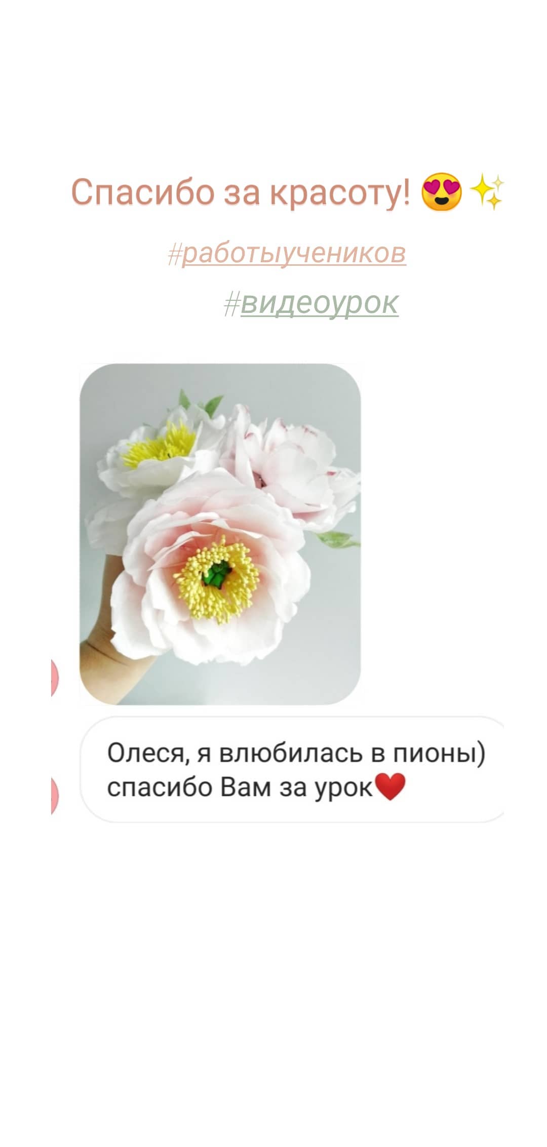 Instagram highlights stories 17906466817533035 (1)