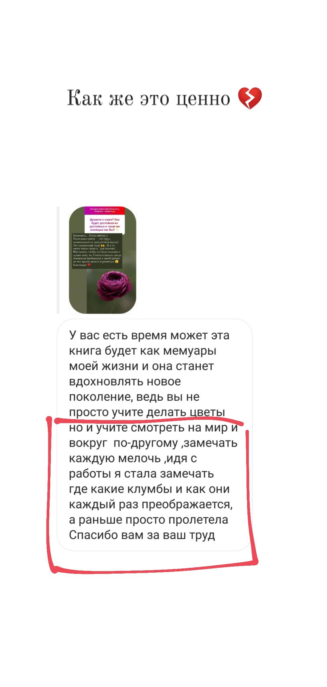 Instagram highlights stories 17906466817533035 (13)