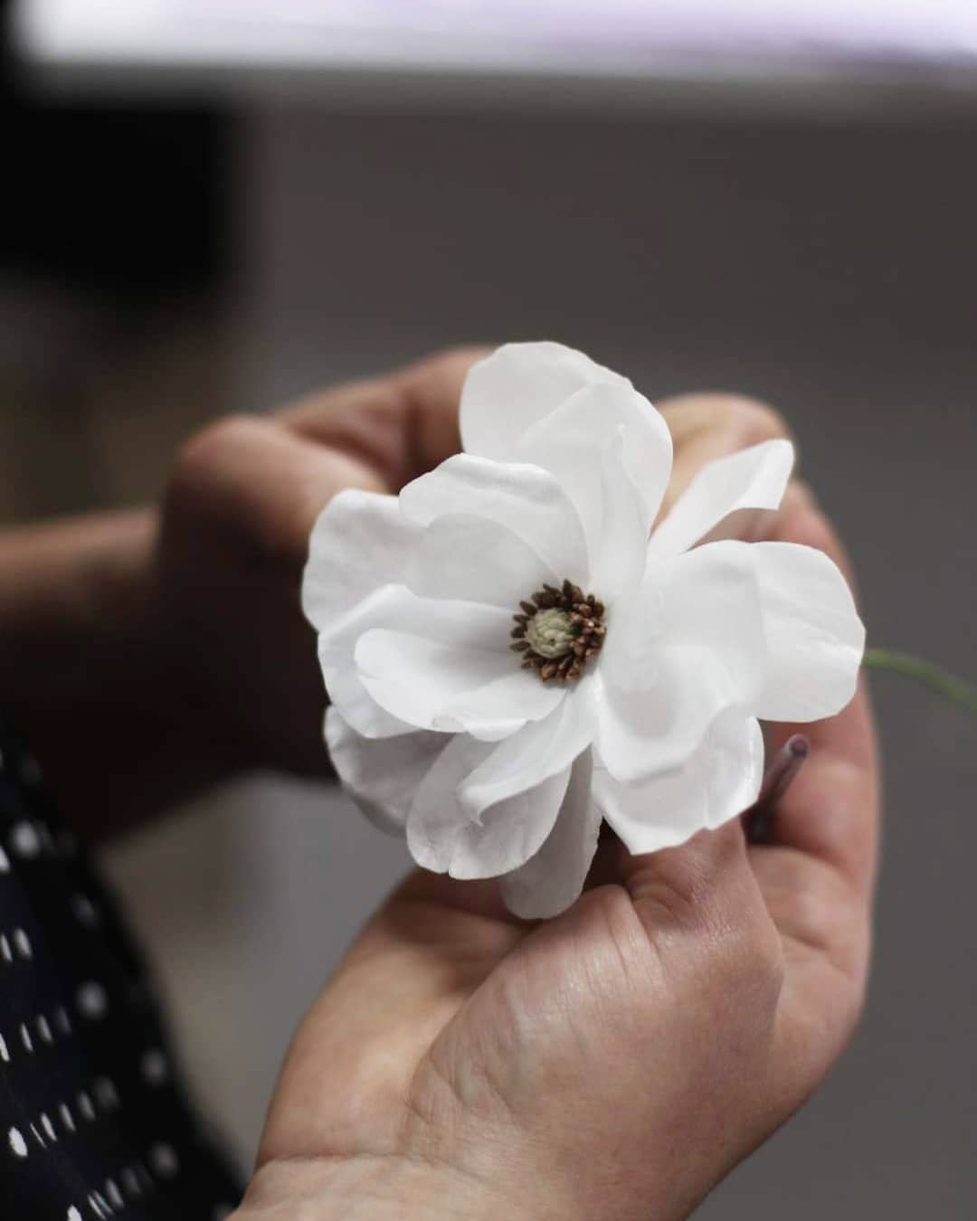 _olesia_flower_187697951_127020339493982_5312606116314171379_n