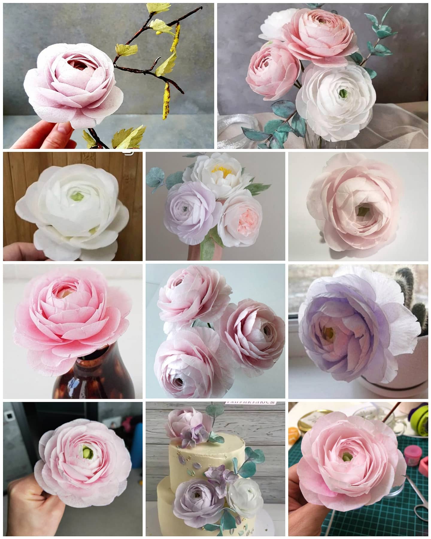 ranunculus_online_1707378313120